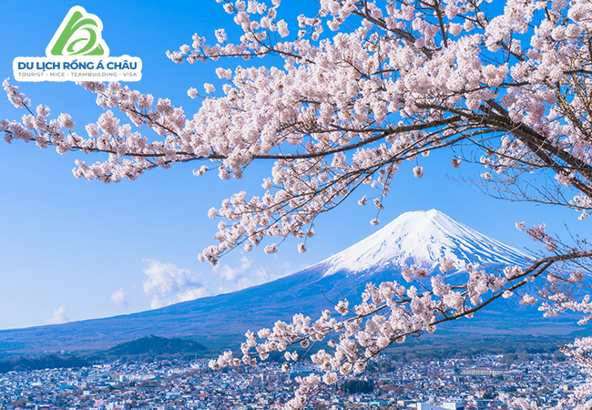 TOUR NHẬT BẢN MÙA HOA ANH ĐÀO: CUNG ĐƯỜNG VÀNG NARITA - T...